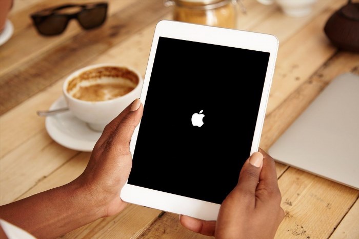 Sau khi thực hiện Hard reset, khi màn hình iPad hiển thị biểu tượng táo, thì iPad có thể được sử dụng lại như bình thường.