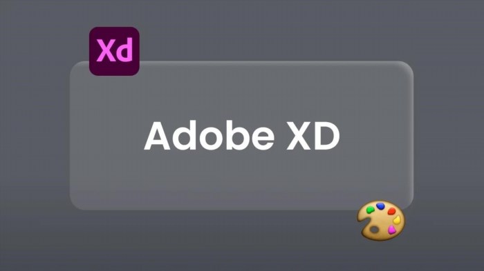 Adobe XD được sử dụng để thực hiện những công việc gì?