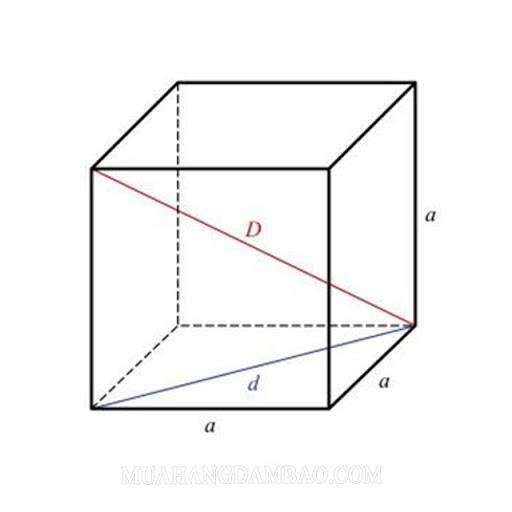 Đường chéo của hình lập phương là đoạn thẳng nối hai đỉnh đối diện của hình, và có đặc điểm là có độ dài bằng căn bậc hai của tổng bình phương các cạnh của hình lập phương.