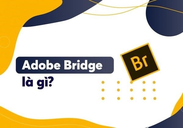 Adobe Bridge và những chức năng cơ bản.