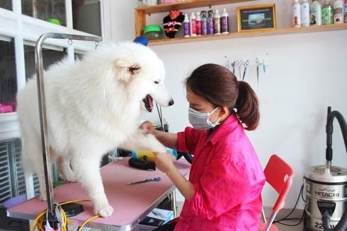 Dịch vụ chăm sóc động vật cần nhiều kỹ năng chuyên môn.
